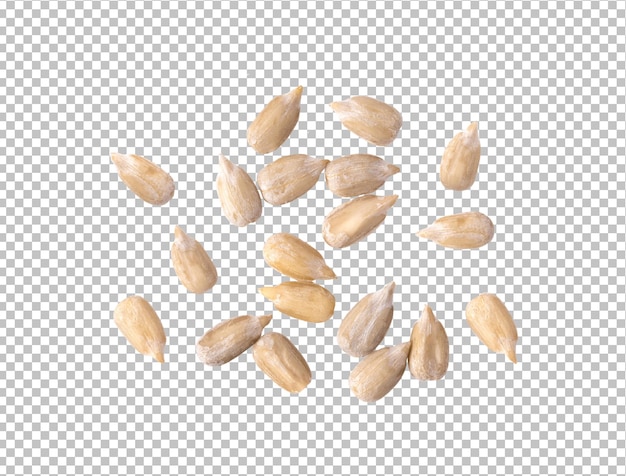 Peeled Sunflower seeds isolated on alpha layer