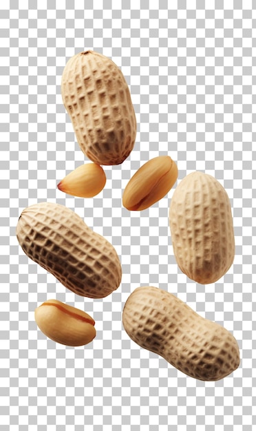 PSD peeled unpeeled and whole shell peanuts isolated on transparent background png psd