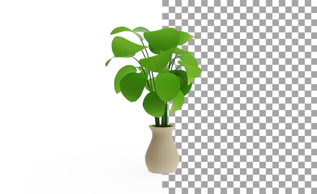 Peperomia plant without shadow 3d render