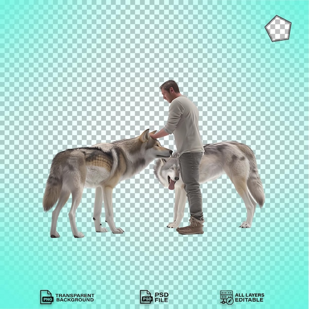 A person standing next to wild wolves spreading love with pet wolves isolated on transparent background