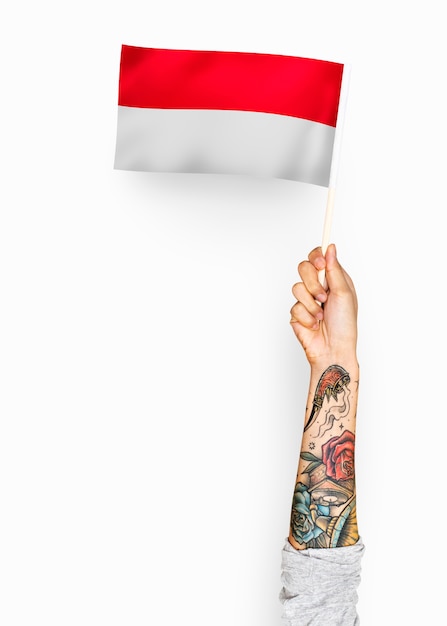 Person waving the flag of Principality of Monaco