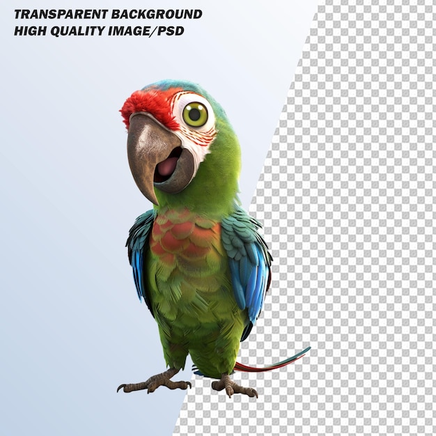 PSD pet bird isolated on transparent background