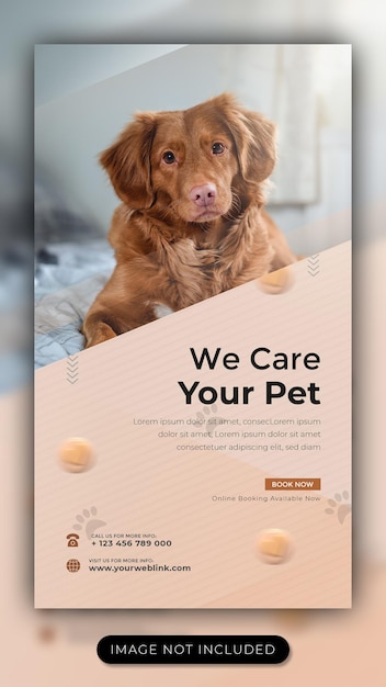 PSD pet care social media story template for facebook and instagram