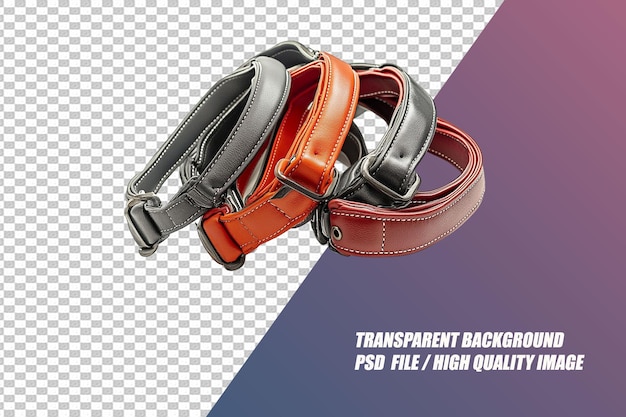 PSD pet needs on transparent background psd file