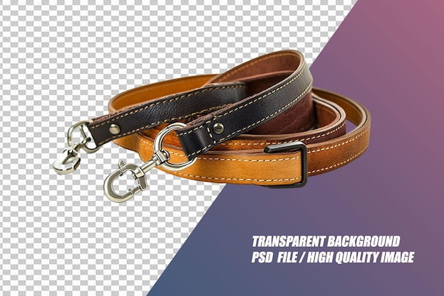 PSD pet needs on transparent background psd file