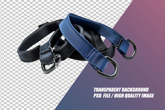 PSD pet needs on transparent background psd file