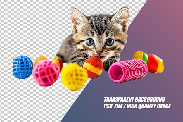 Pet Needs on Transparent Background PSD File