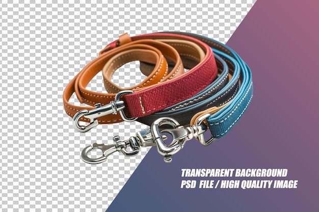 PSD pet needs on transparent background psd file