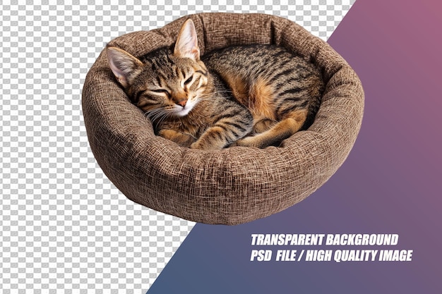 Pet Needs on Transparent Background PSD File