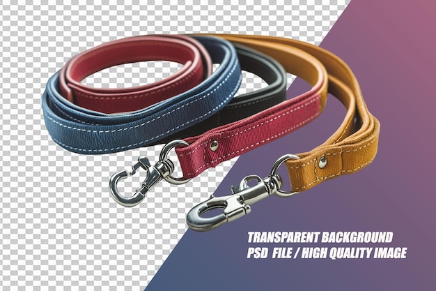 Pet Needs on Transparent Background PSD File