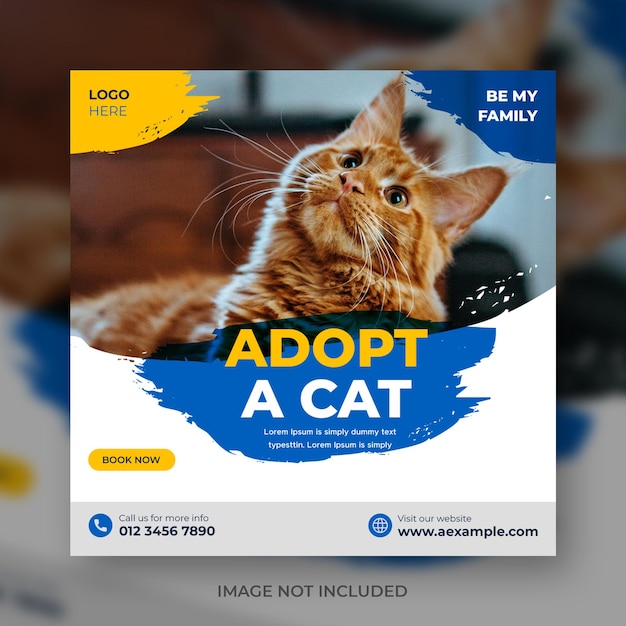 Pet Square banner and social media post template