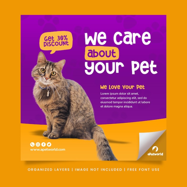 Pets animal care promotion social media and instagram post web banner template