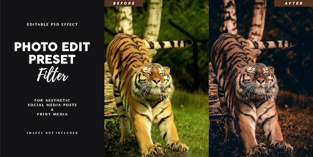 Photo edit preset filter for wildlife tourism business advertisement banner