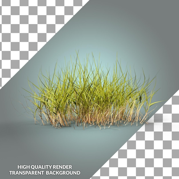 A photo of a grass field with the words high quality render transparent background.