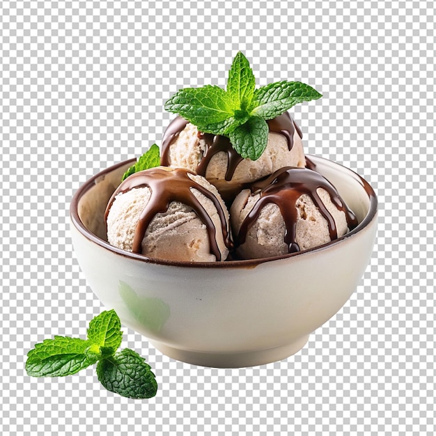 photo ice cream in bowl with chocolate topping and