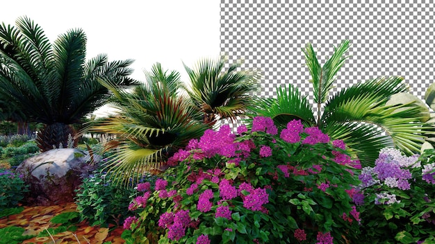 A photo of a tropical garden with a purple bougainvillea and palm trees.