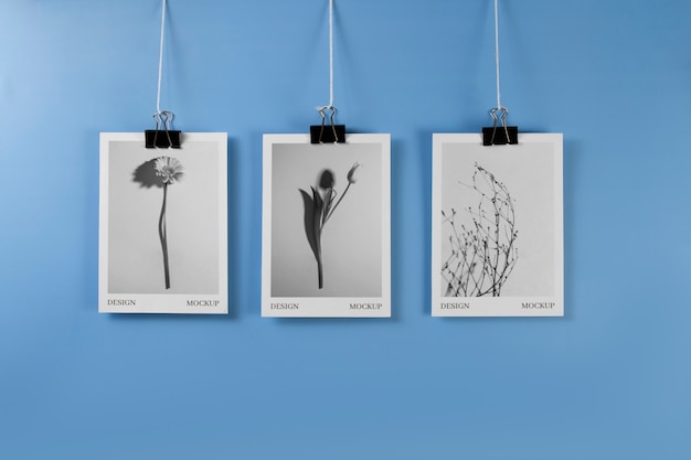 Photographs hanging from clothes line