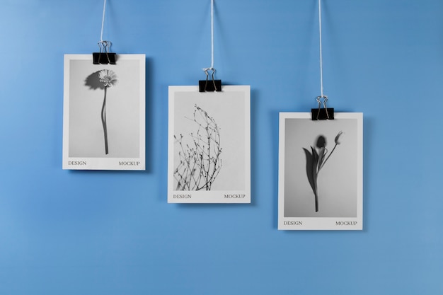 Photographs hanging from clothes line