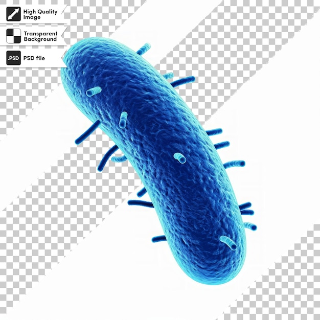 PSD a picture of a bacteria that is labeled bacteria