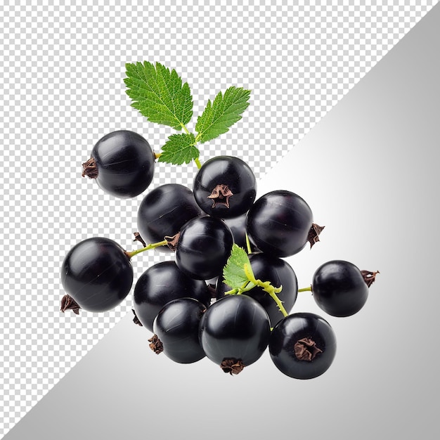 PSD a picture of blackberries with a green leaf on it