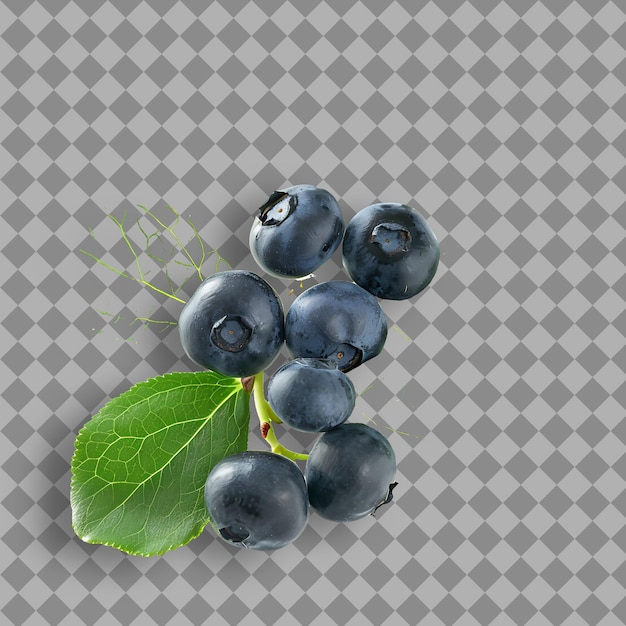 a picture of a bunch of blueberries with a green leaf