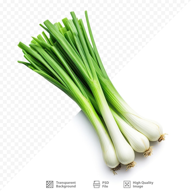 a picture of a bunch of celery sticks.