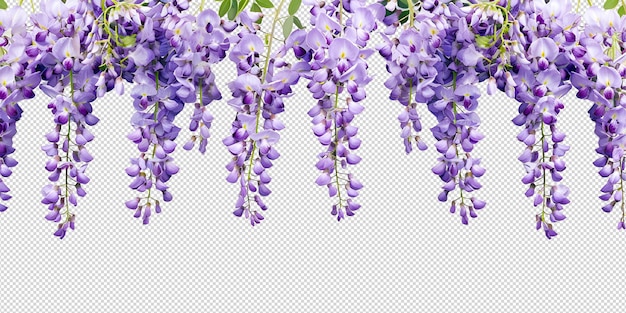 PSD a picture of a bunch of purple flowers with green leaves