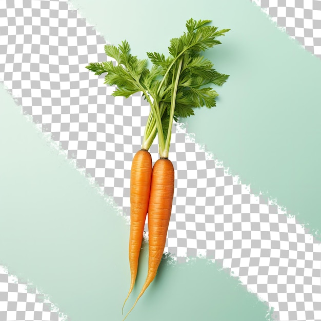 a picture of carrots with the word carrots on the top.