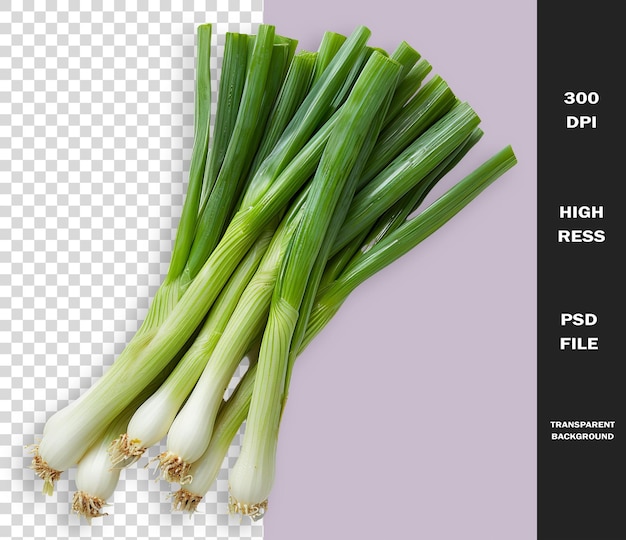 a picture of celery sticks with a picture of celery