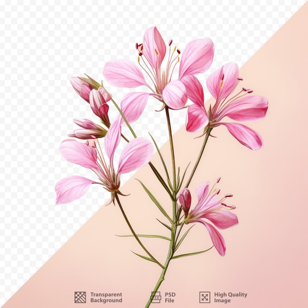 a picture of a flower with the title " the title "