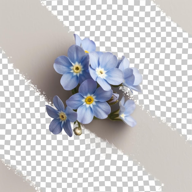 PSD a picture of a flower with a white background with a blue flower in the middle