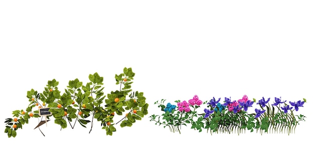 A picture of flowers and plants with the words spring on the bottom