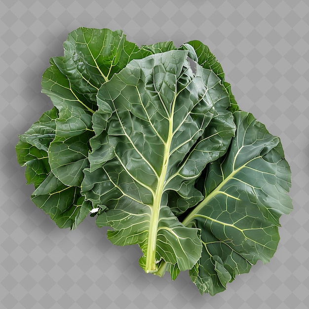 PSD a picture of a kale that is from the company of kale