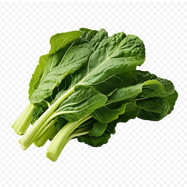 a picture of a kale on a transparent background