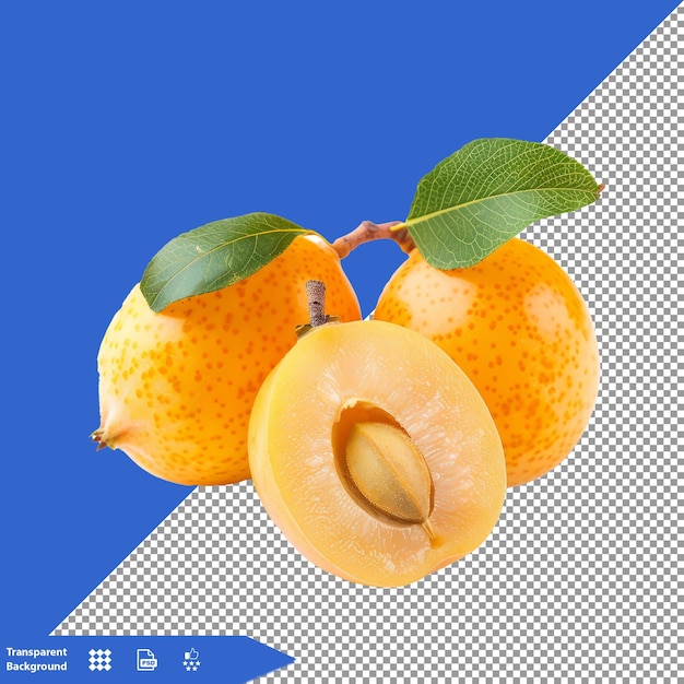 a picture of a lemon and a grapefruit with a green leaf