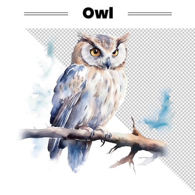 A picture of an owl with the title owl on the top.