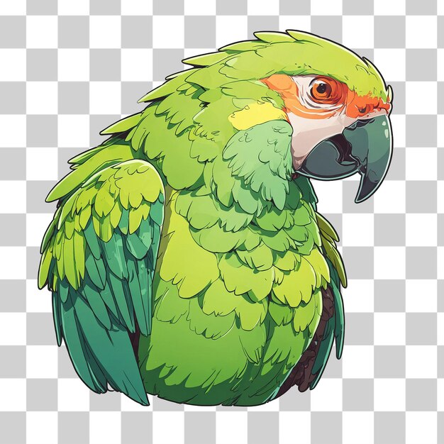 PSD a picture of a parrot with a beak that says parrot on it