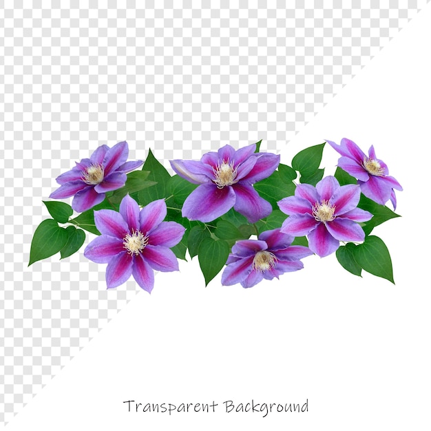 PSD a picture of a plant with purple flowers on it