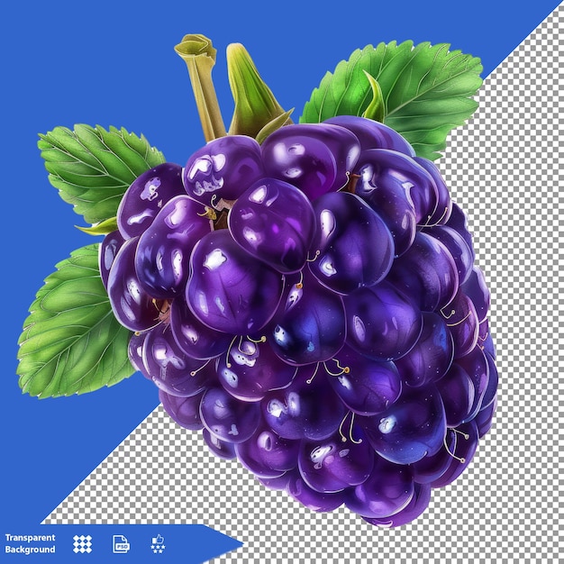 a picture of a purple grapes with the word  blackberry  on it