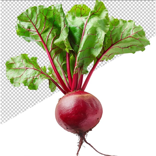 PSD a picture of a radish with a picture of a radish