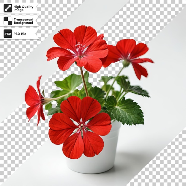 a picture of a red flower with the words geranium on it