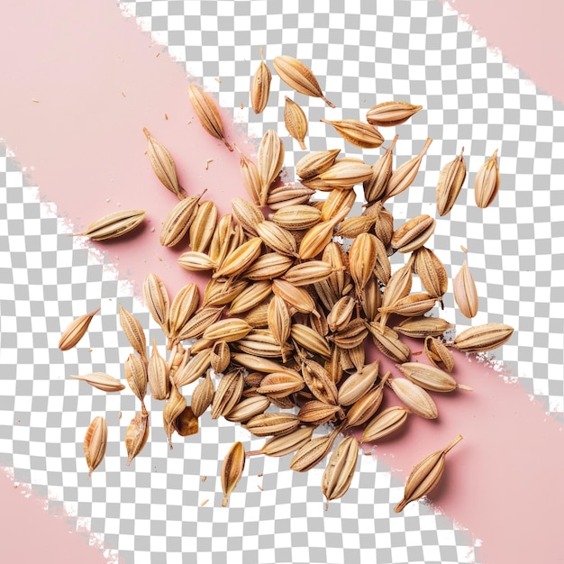 a picture of seeds and a picture of seeds on a checkered background