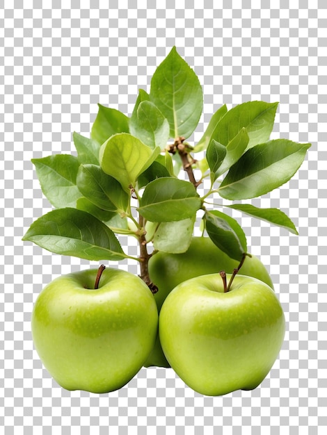 PSD a picture of a tree with green apples on a transparent background