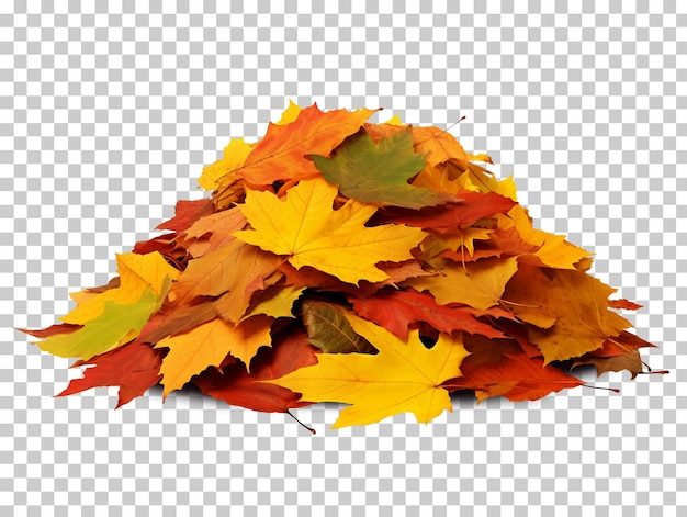 Pile of autumn leaves isolated on transparent background png psd