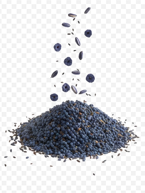 PSD a pile of blue beans with a pile of blueberries