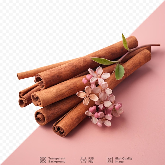 a pile of cinnamon sticks with a pink background.