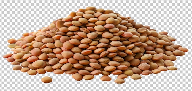 Pile of Mixed Brown and Orange Lentils on a Transparent Background