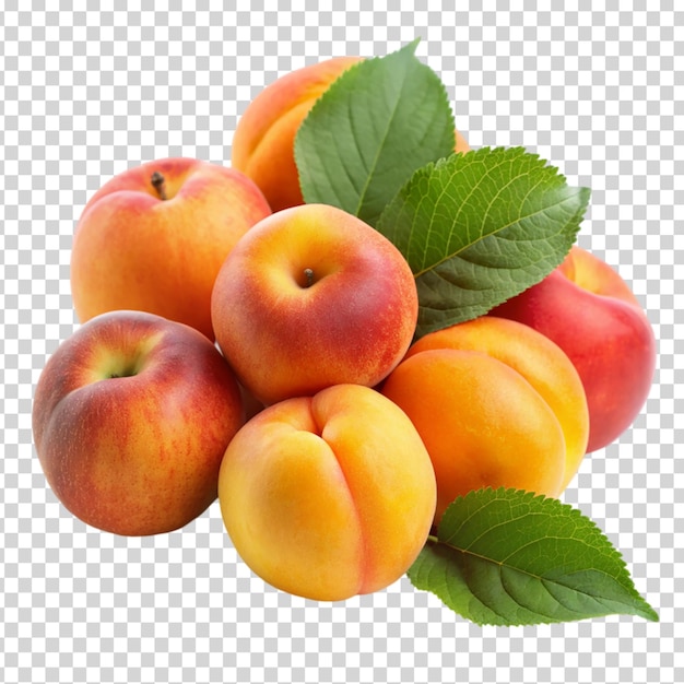 A pile of peaches with a leaf on transparent background