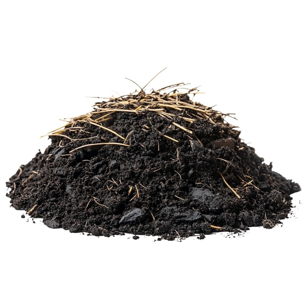 PSD pile of soil black organic soil with decomposing rye isolated on transparent background