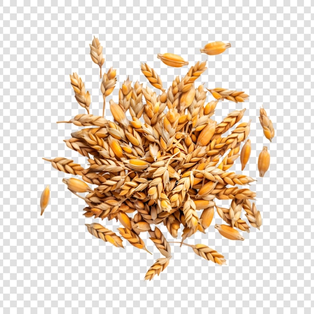 PSD a pile of wheat on a transparent background